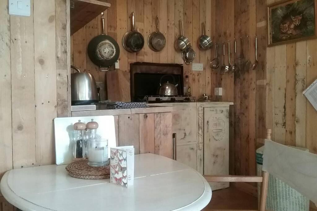 Foxesden, Unique Eco Cabin, Dartmoor Views South Brent Екстер'єр фото