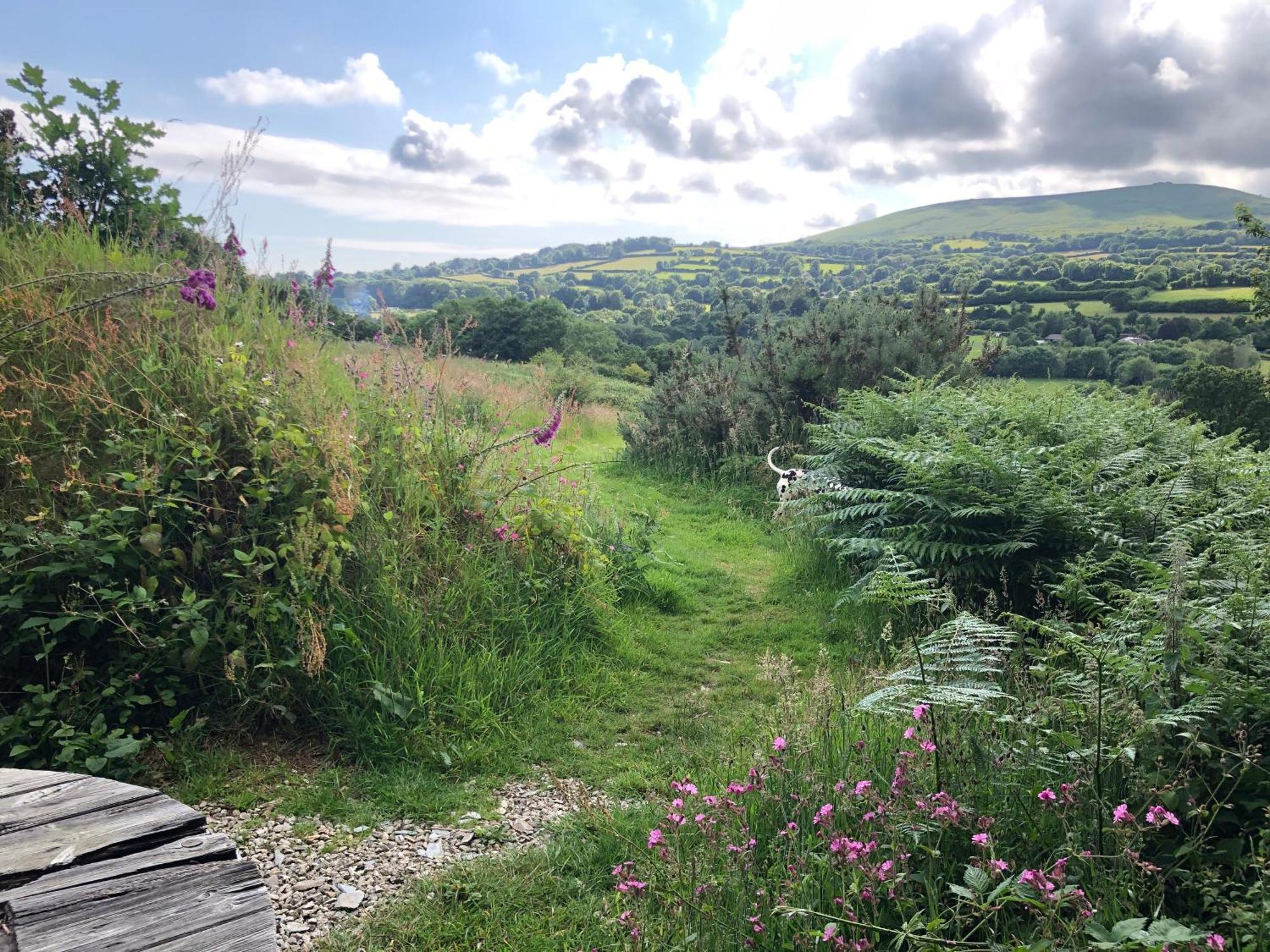 Foxesden, Unique Eco Cabin, Dartmoor Views South Brent Екстер'єр фото